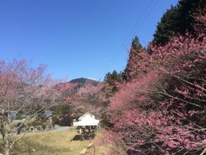 春谷寺3-IMG_1808