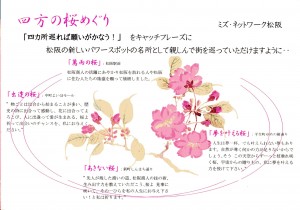 四方の桜めぐり