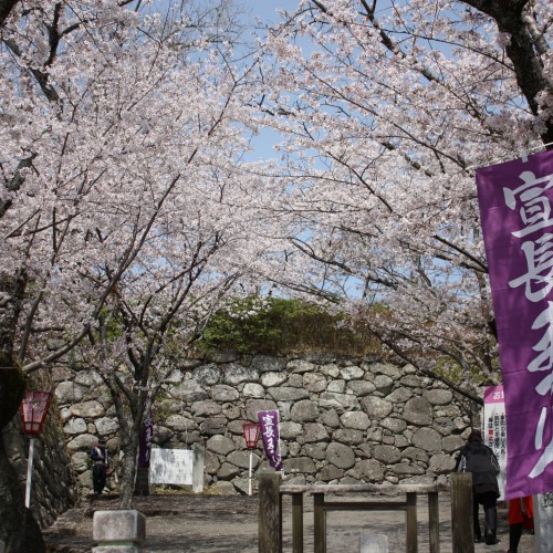 令和3年　宣長まつり【開催中止】