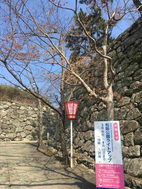 桜開花状況【令和2年3月18日現在】