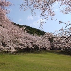 全景(芝生広場)
