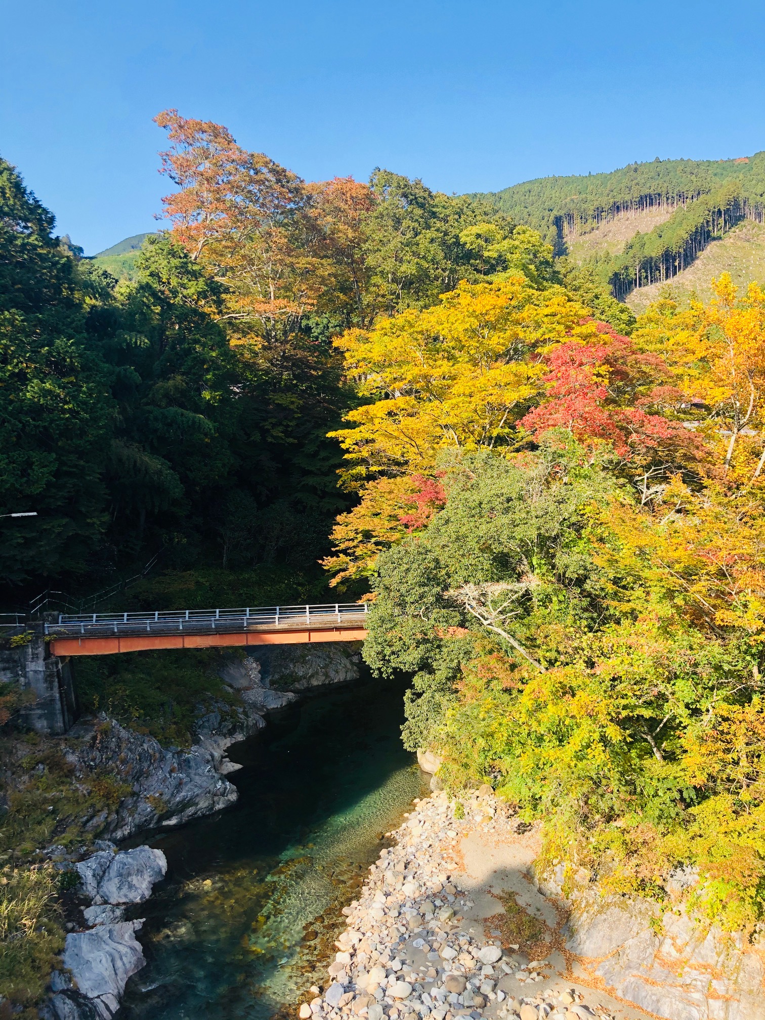 飯高町　波瀬植物園周辺　紅葉状況