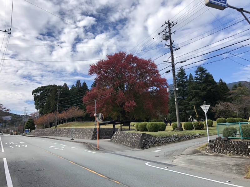 R2.11.6　12時30分 ハナノキ-2