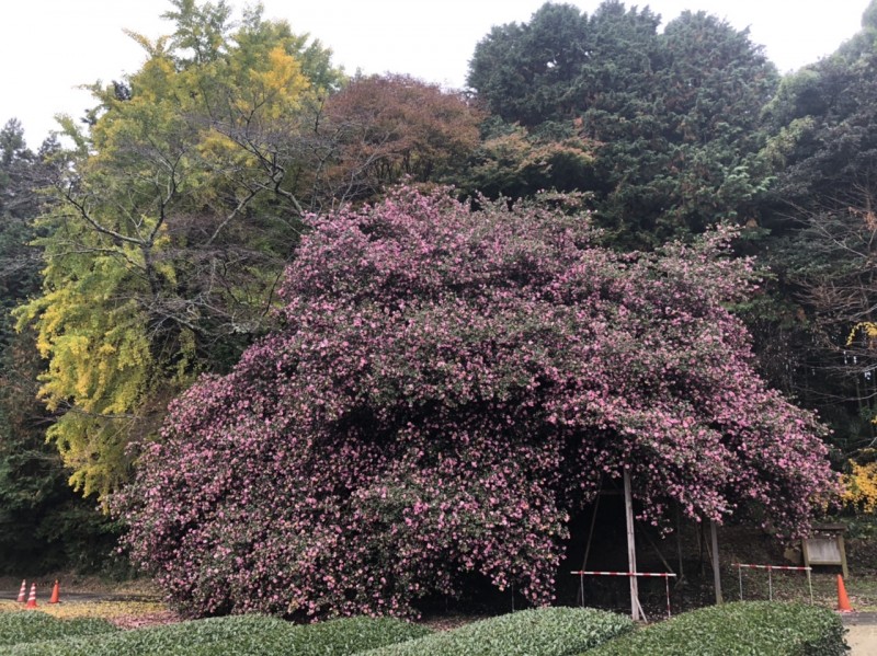 5F7A7102-B913-4C95-87F1-B1DA342395B4