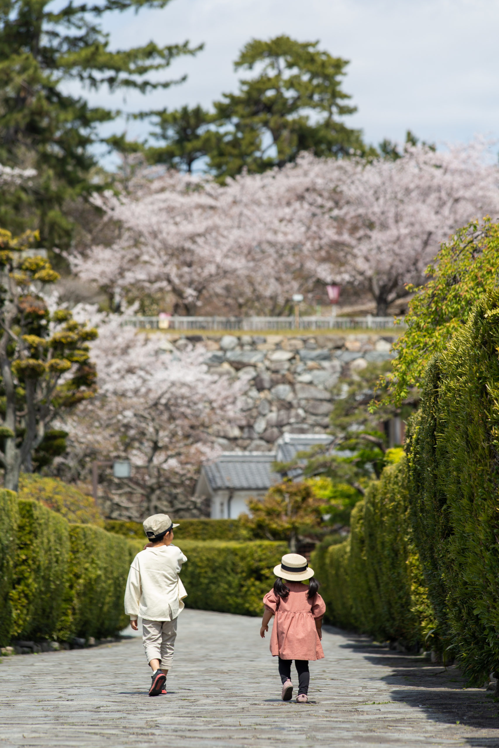 【松阪フォトコンテスト2020】入賞作品発表！！　作品展示は2021年1月29日（金）まで