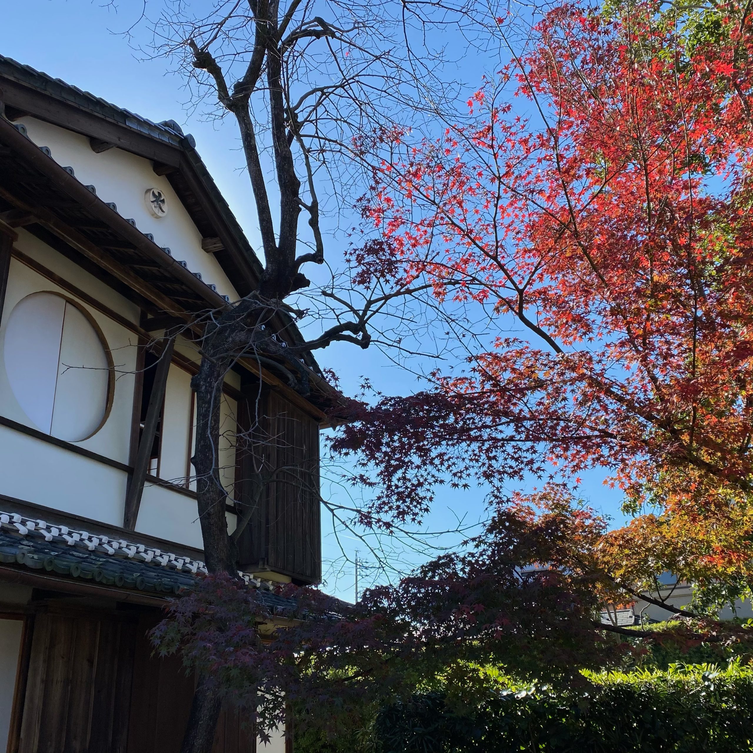 原田二郎旧宅企画展「御城番屋敷と苗秀社」2020.12.9(水）～2021.4.18(日）