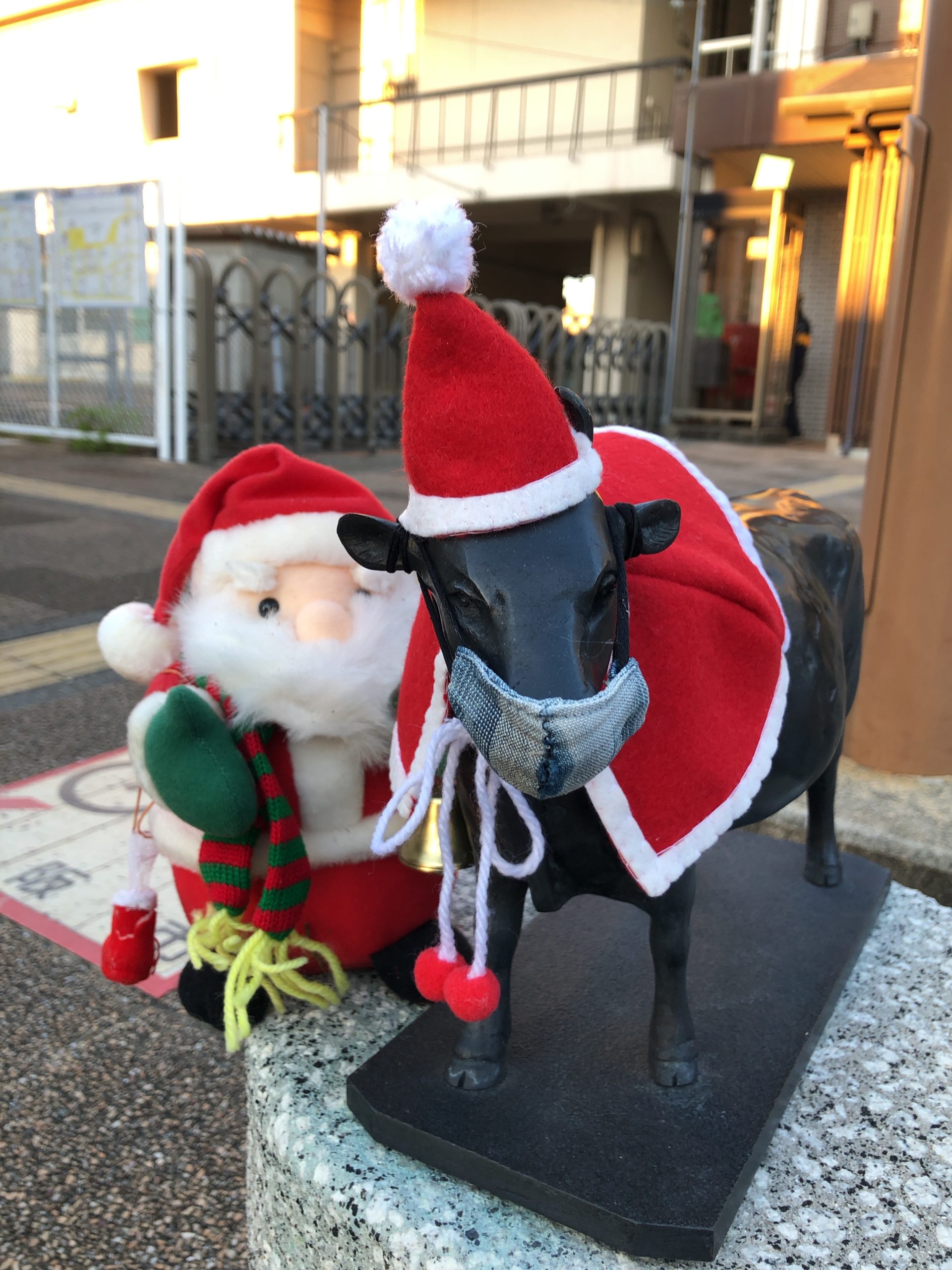 松阪駅の牛さんがクリスマス仕様になりました
