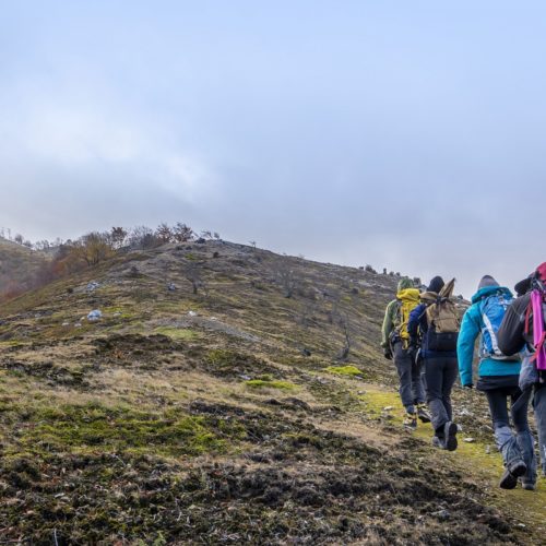 「まつさか香肌イレブン」プロジェクト始まる！