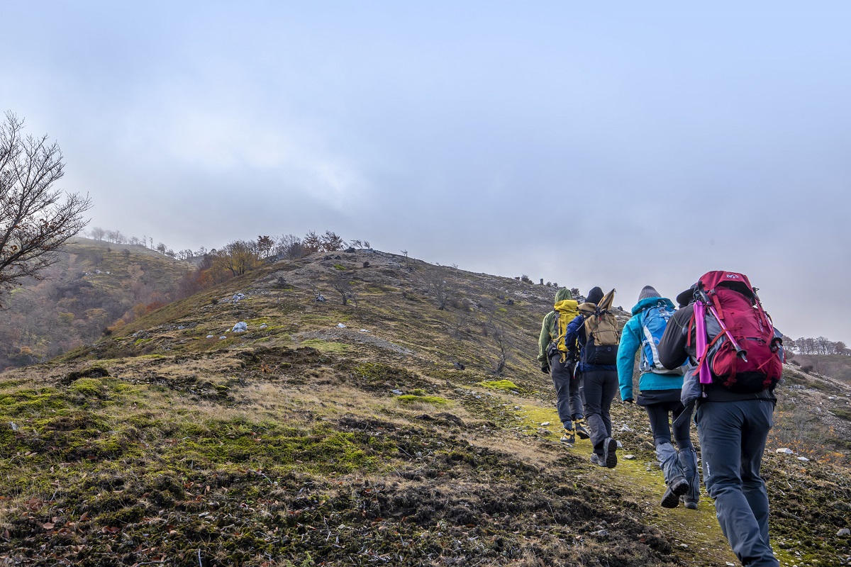 「まつさか香肌イレブン」プロジェクト始まる！