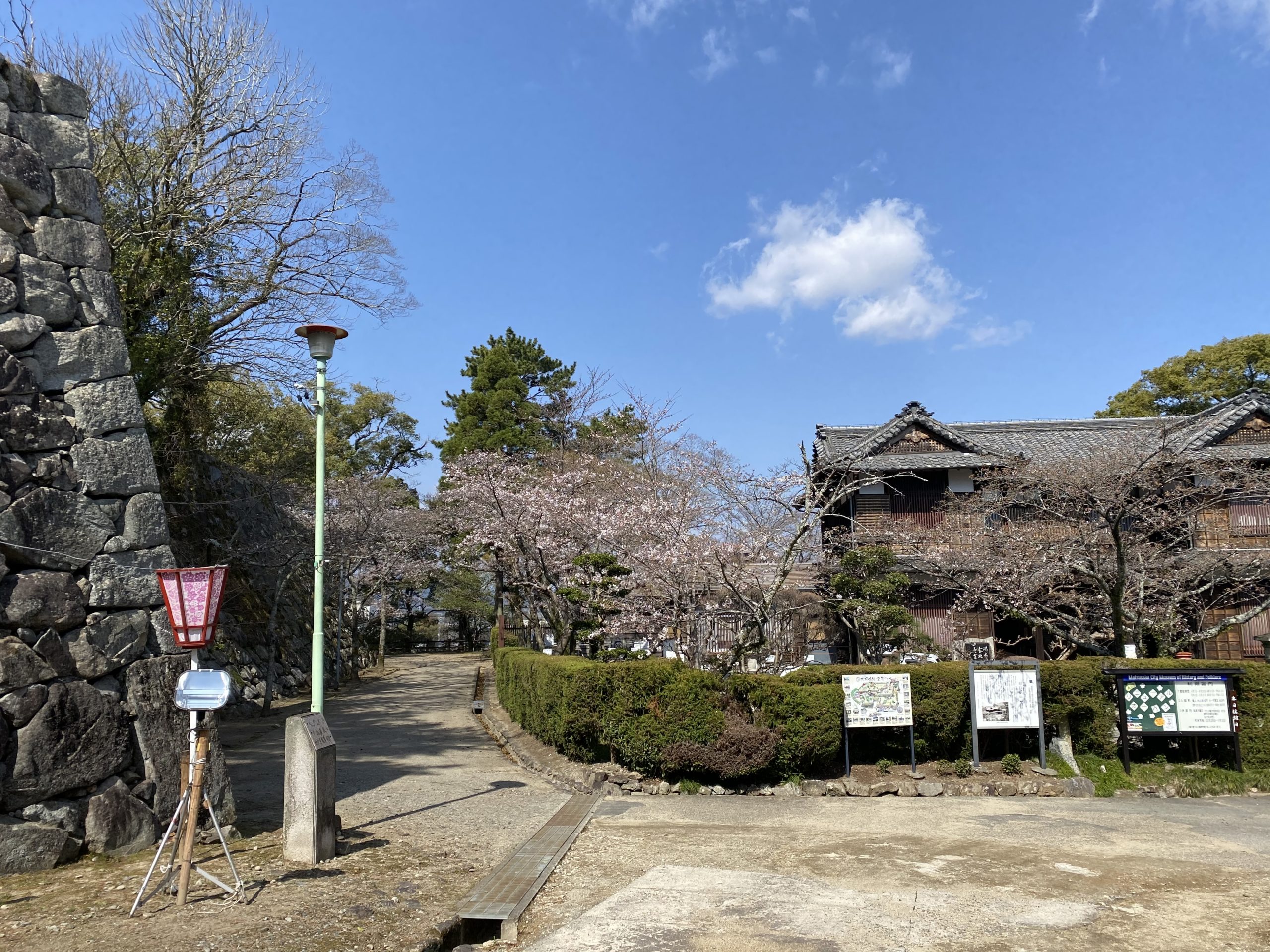 松阪市内　桜開花状況【令和3年3月23日現在】