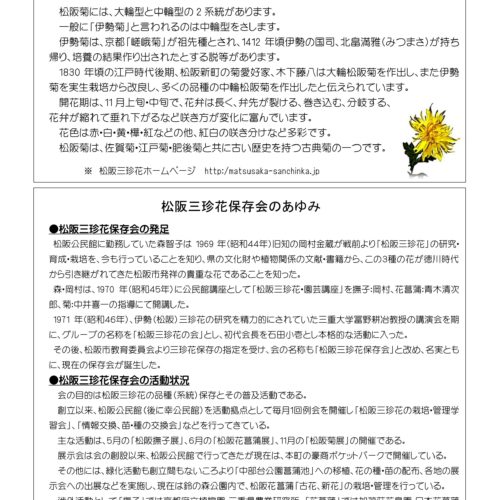 令和3年11月12日（金）～17日（水）「松阪菊展」豪商ポケットパーク
