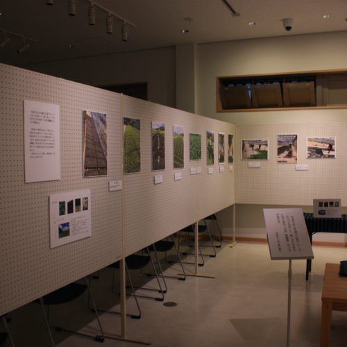 令和4年3月4日（金）～3月31日（木）松阪もめん手織り伝承グループ「ゆうづる会」と藍、すくも作りに取り組む「北村藍農園」コラボ展示会開催いたします。豪商のまち松阪　観光交流センター