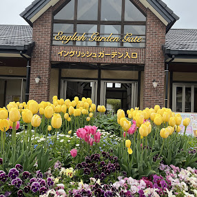 松阪農業公園ベルファームのお花の情報です