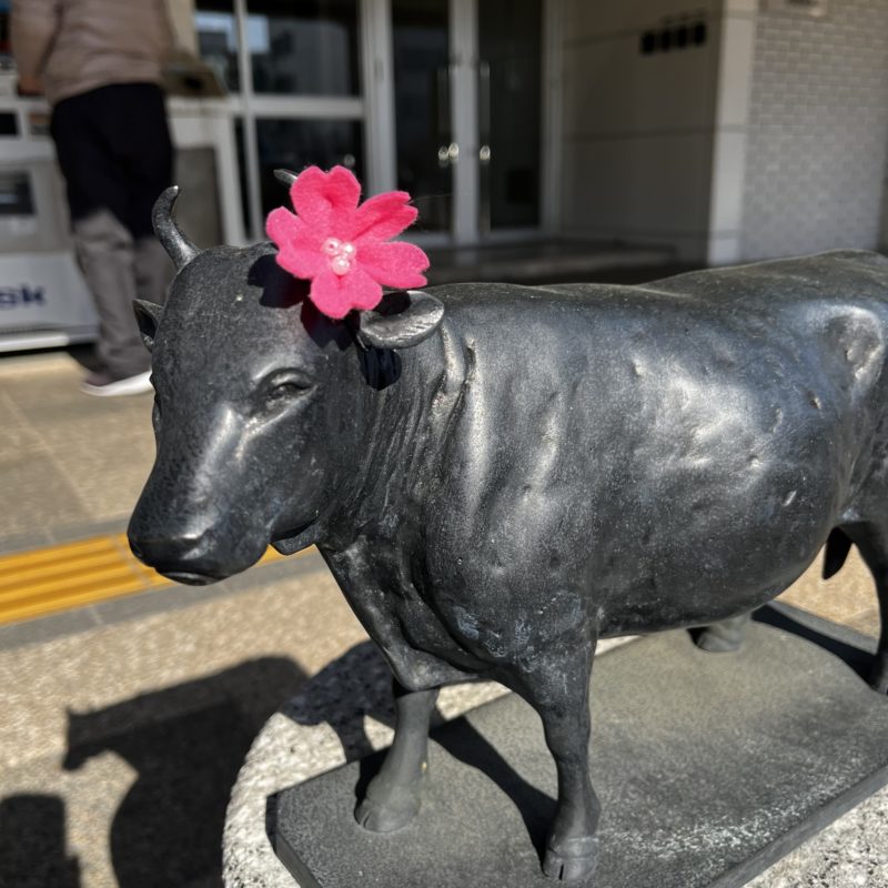 松阪駅前の牛さん　春🌸仕様です。