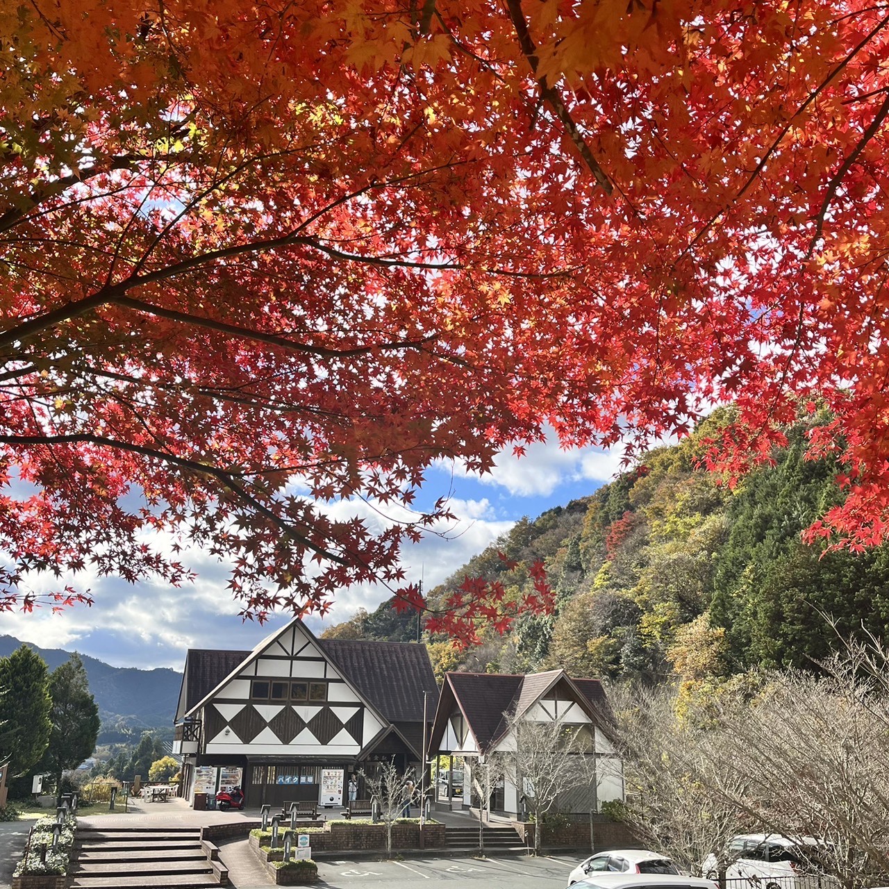 道の駅茶倉駅の紅葉の様子【2023年11月25日現在】