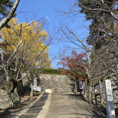 松坂城跡(松阪公園)の紅葉状況【2023年11月24日現在】