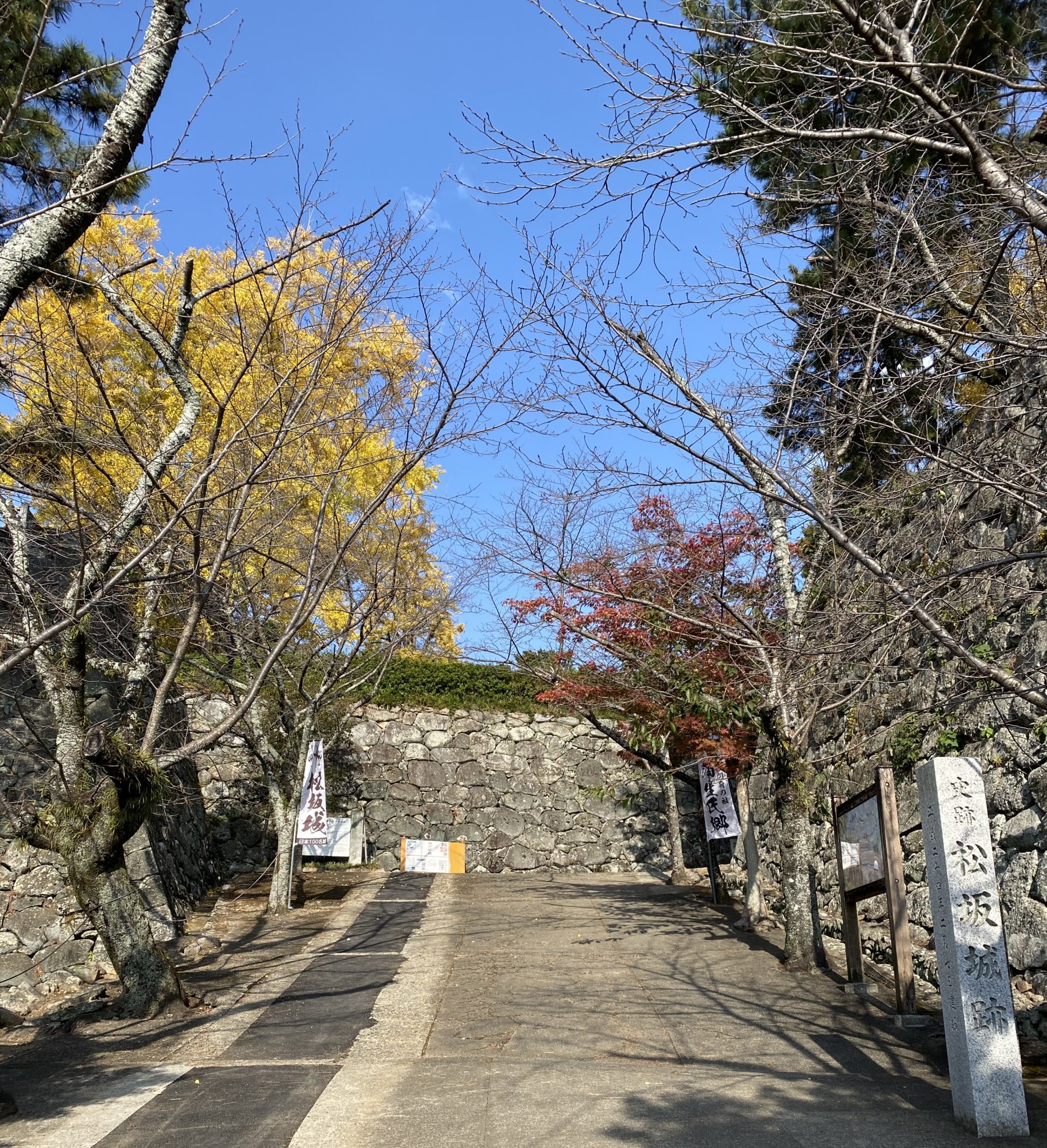 松坂城跡(松阪公園)の紅葉状況【2023年11月24日現在】