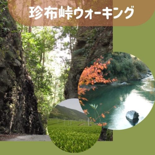 【2024年6月20・21・25・27日 7月5・8日限定】観光協会監修　珍布峠ウォーキングツアー