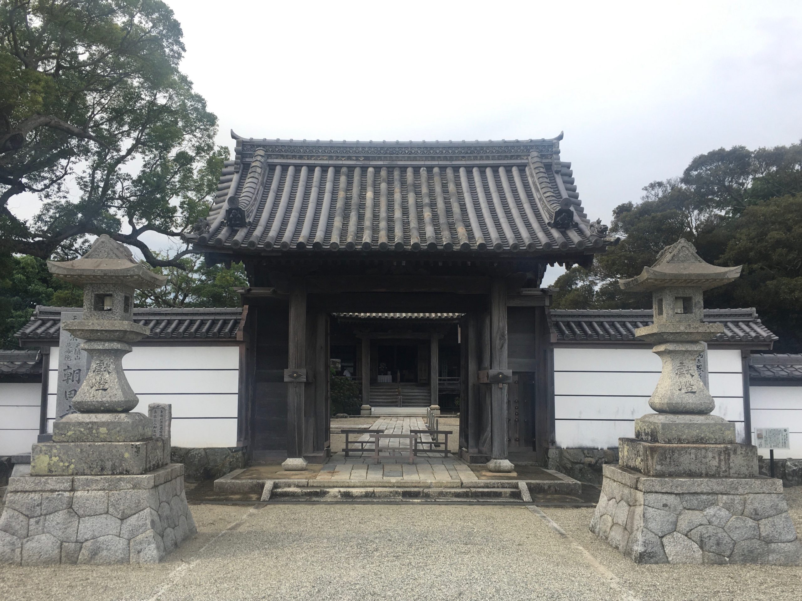 朝田寺の牡丹について　　