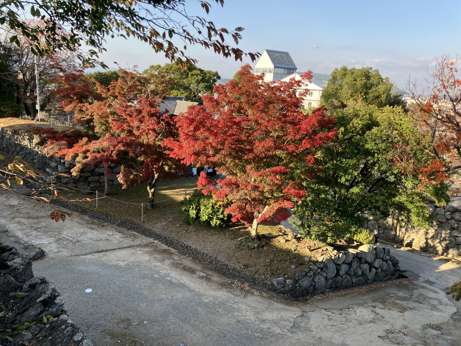 🍂松坂城跡の紅葉の様子🍂