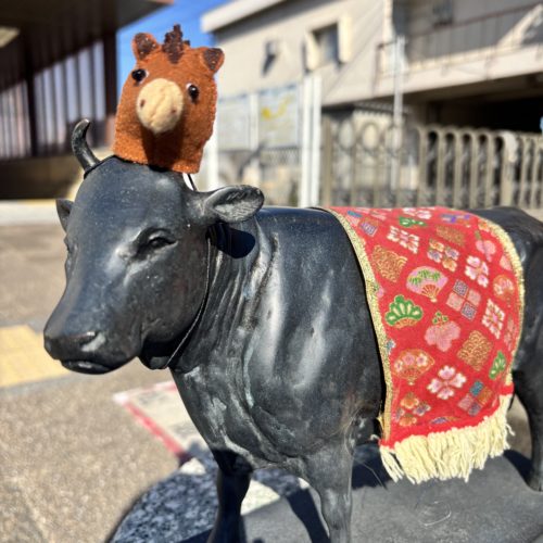 松阪駅前の牛さんお正月🎍仕様です。