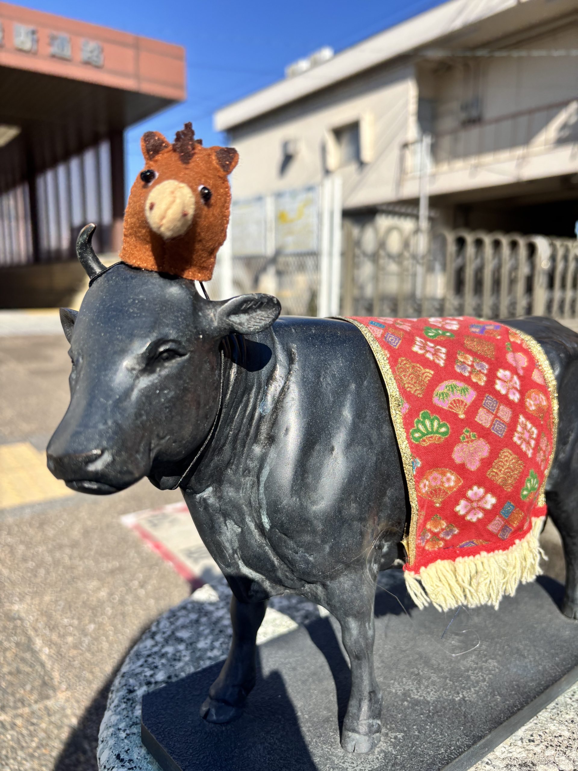 松阪駅前の牛さんお正月🎍仕様です。