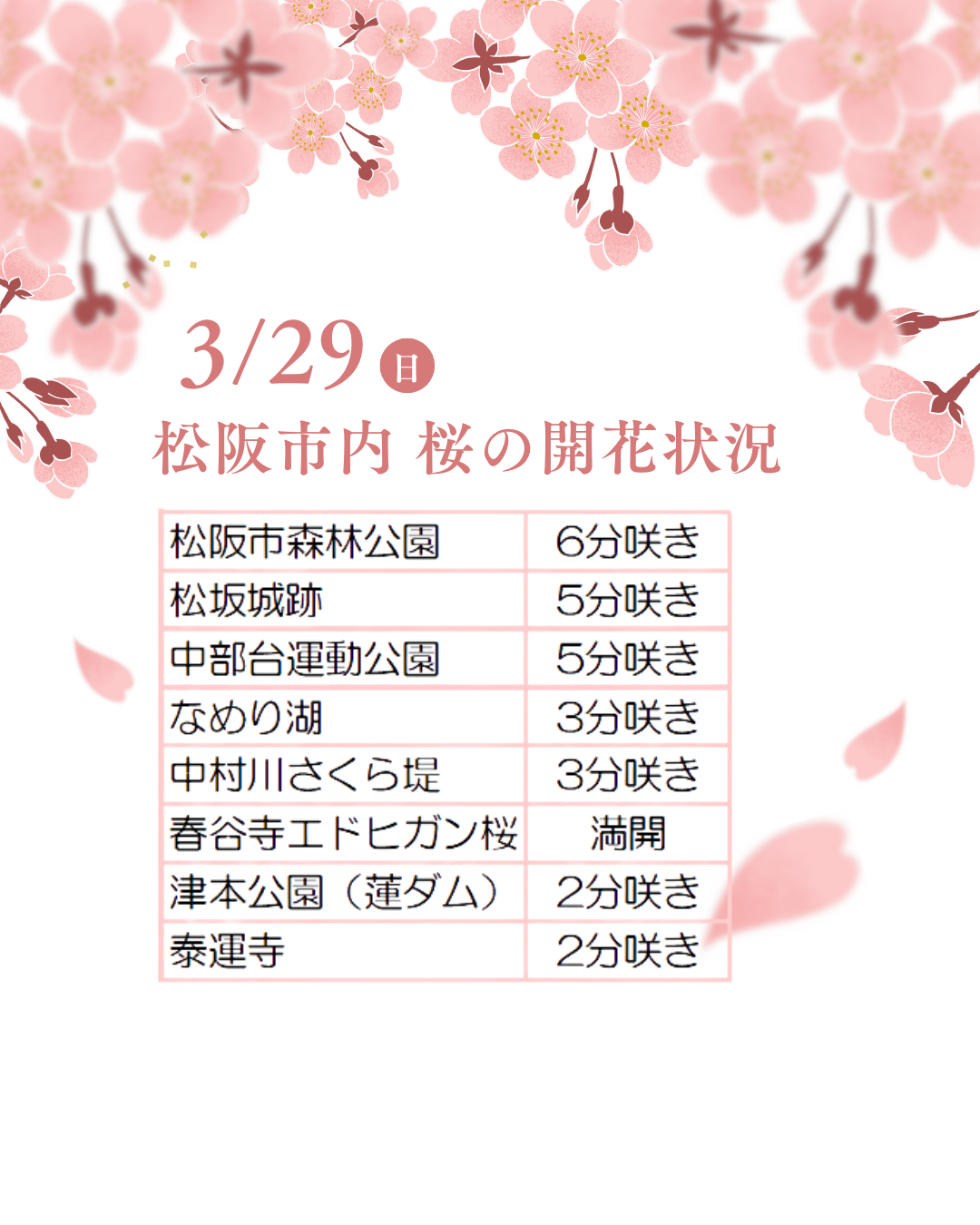 松阪市内の桜の開花状況　【令和8年3月29日現在】