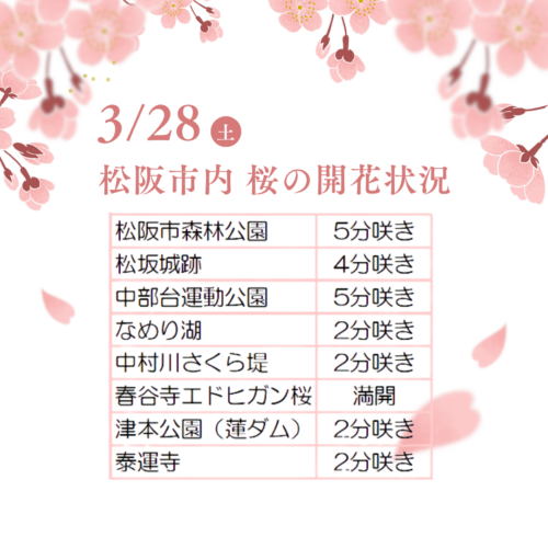 松阪市内の桜の開花状況　【令和8年3月28日現在】