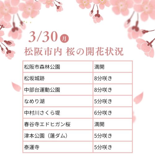松阪市内の桜の開花状況　【令和8年3月30日現在】