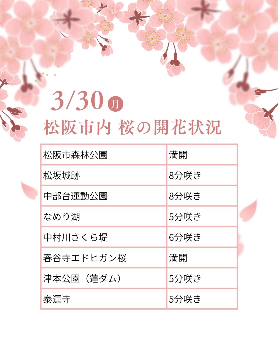 松阪市内の桜の開花状況　【令和8年3月30日現在】