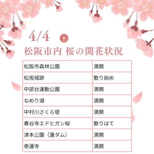 松阪市内の桜の開花状況　【令和8年4月4日現在】