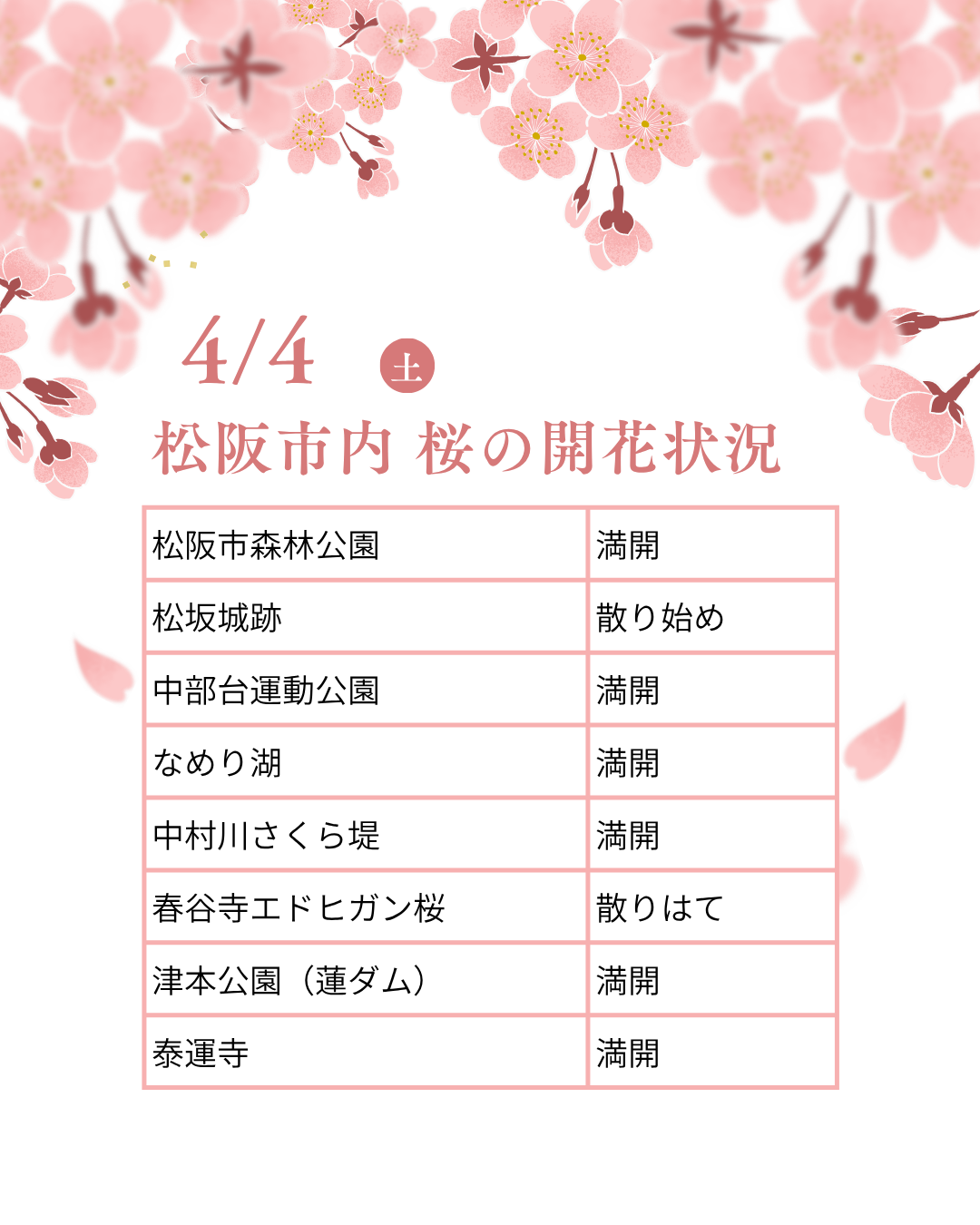 松阪市内の桜の開花状況　【令和8年4月4日現在】
