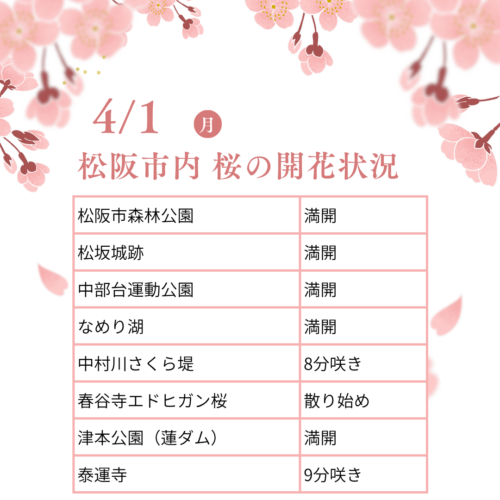 松阪市内の桜の開花状況　【令和8年4月1日現在】