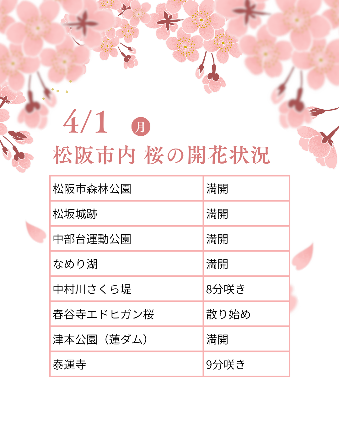 松阪市内の桜の開花状況　【令和8年4月1日現在】