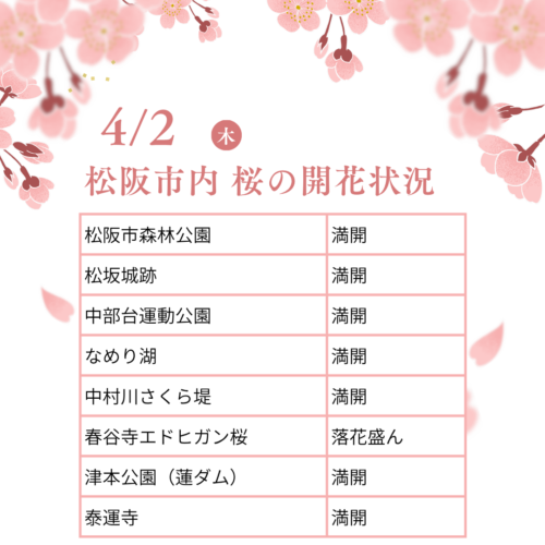 松阪市内の桜の開花状況　【令和8年4月2日現在】