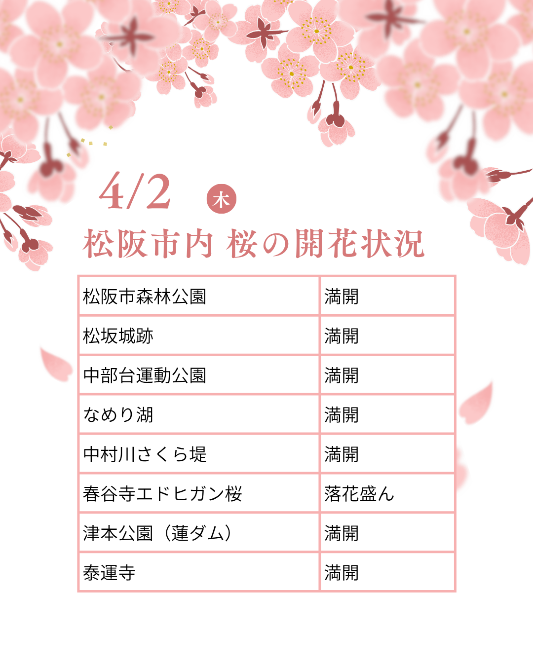 松阪市内の桜の開花状況　【令和8年4月2日現在】