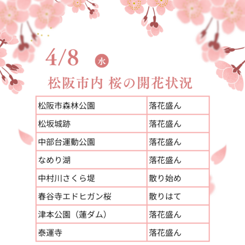 松阪市内の桜の開花状況　【令和8年4月8日現在】