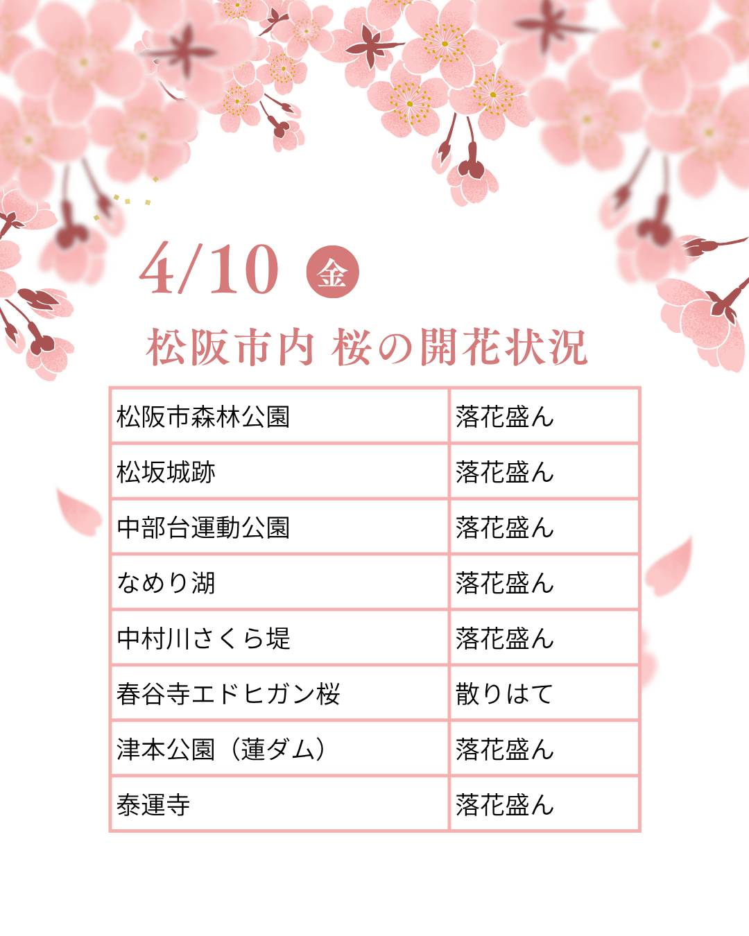 松阪市内の桜の開花状況　【令和8年4月10日現在】