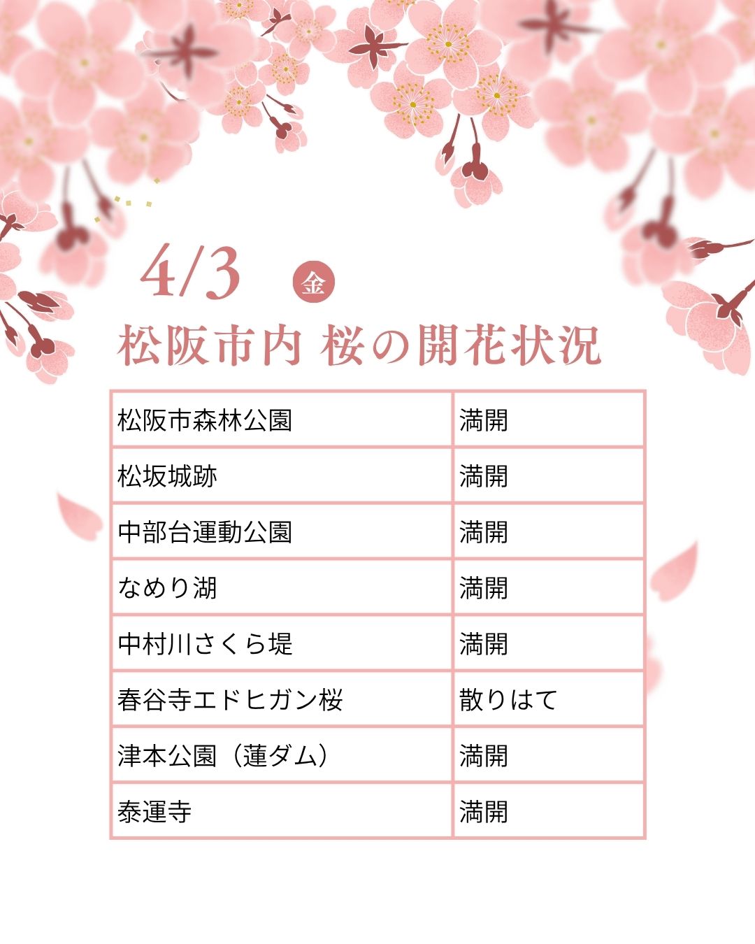 松阪市内の桜の開花状況　【令和8年4月3日現在】